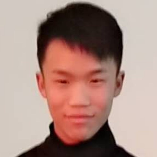 飞鸟用迅速的照片