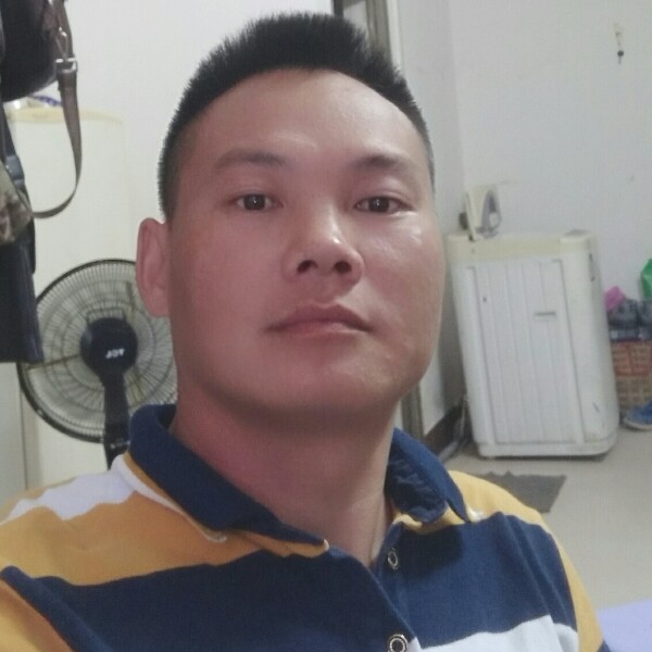 风羽随风的照片