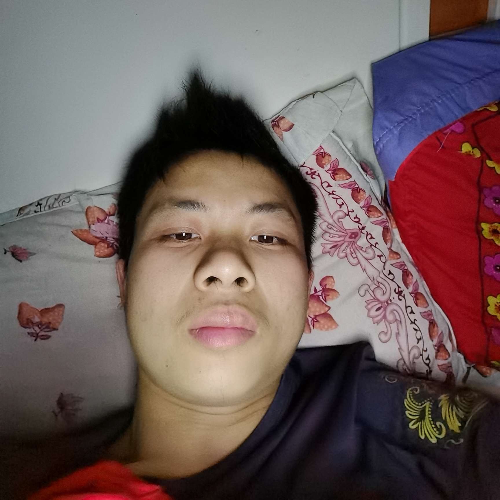 鱼用痴情的照片