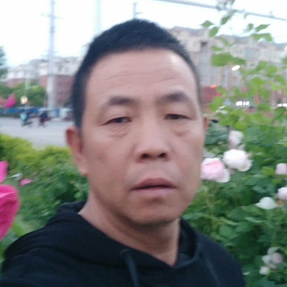 海皎龙的照片