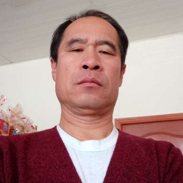 羽毛用寂寞的照片