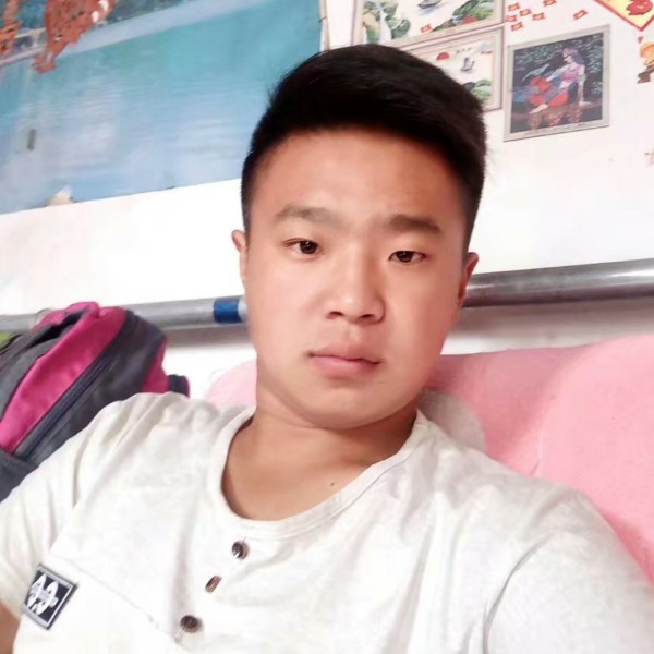 震动小猫咪的照片