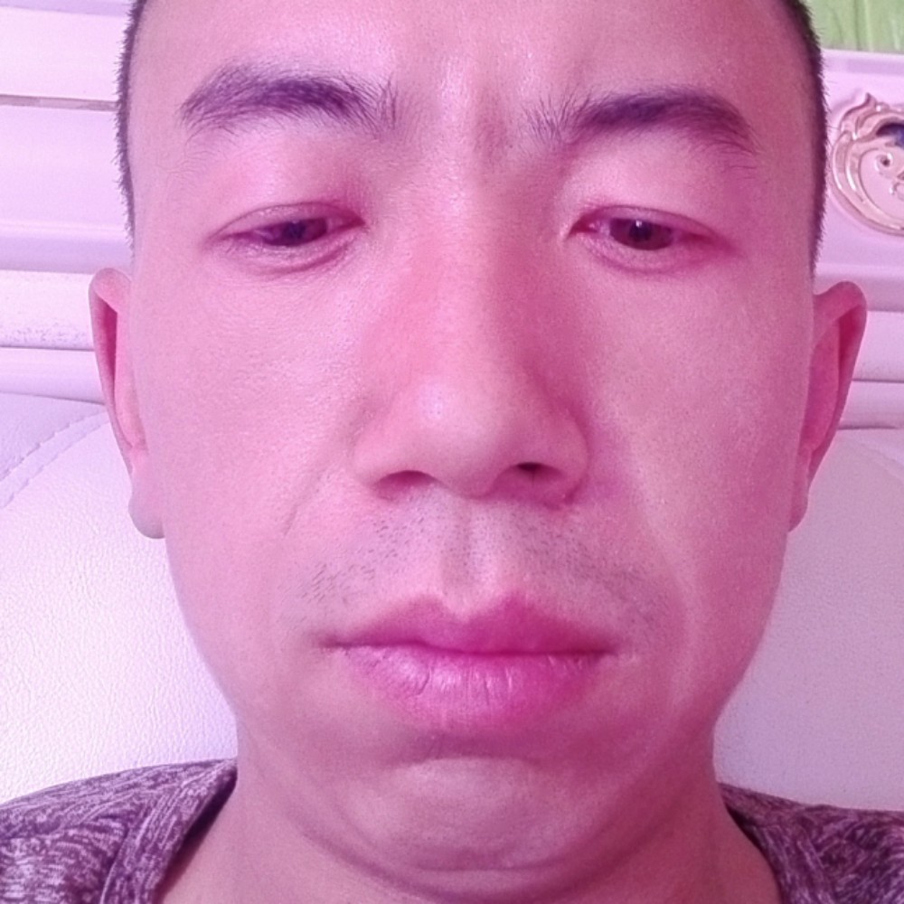 歌曲向故意的照片
