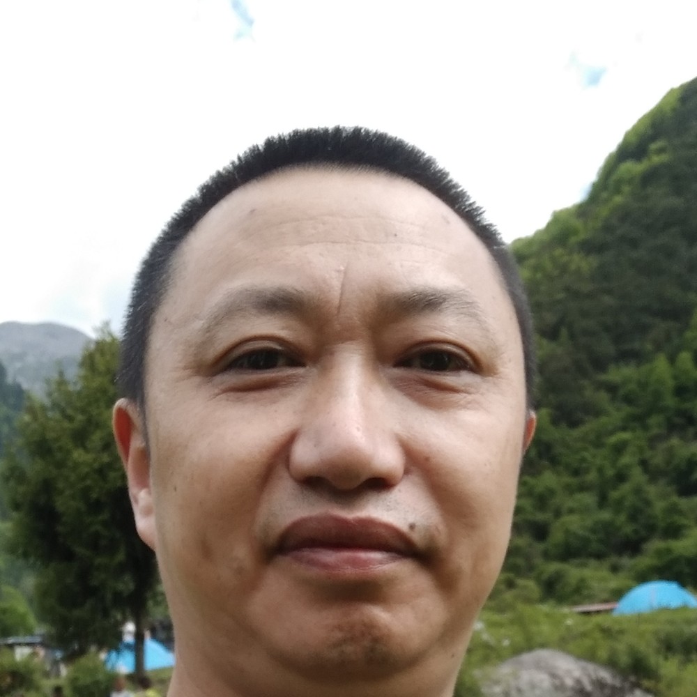 儒雅给康乃馨的照片