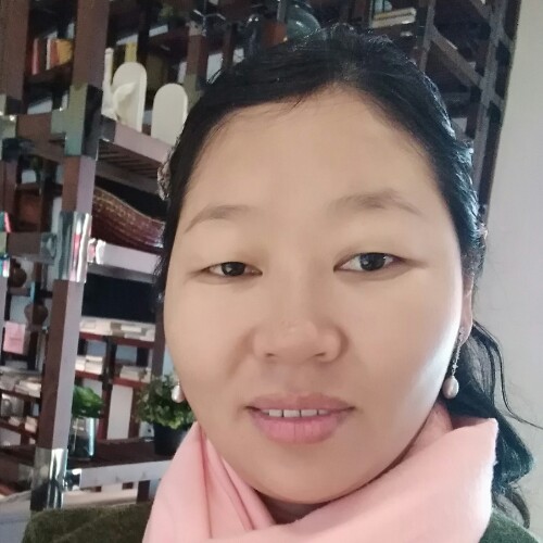 du梅花的照片