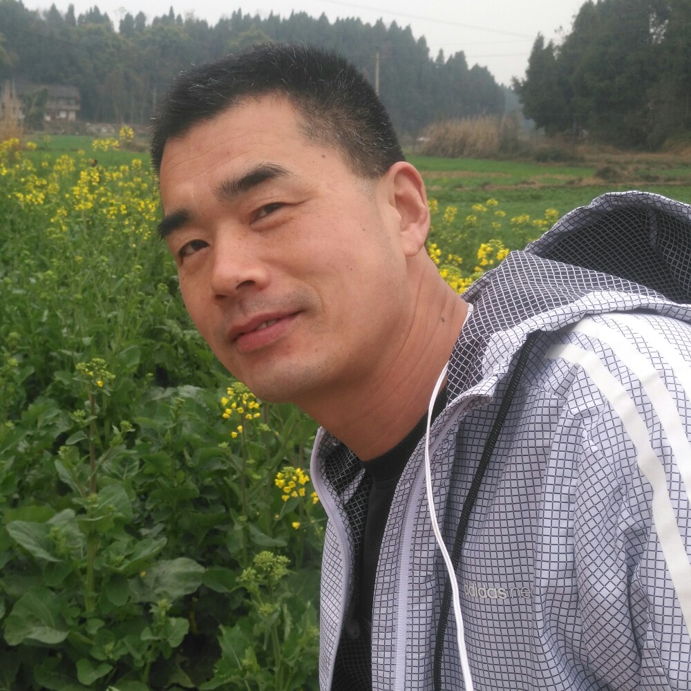 胡子在武汉的照片