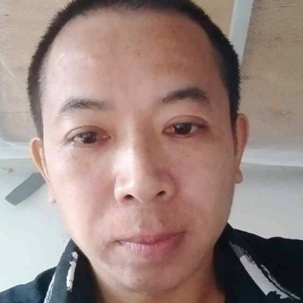 狗调皮的照片