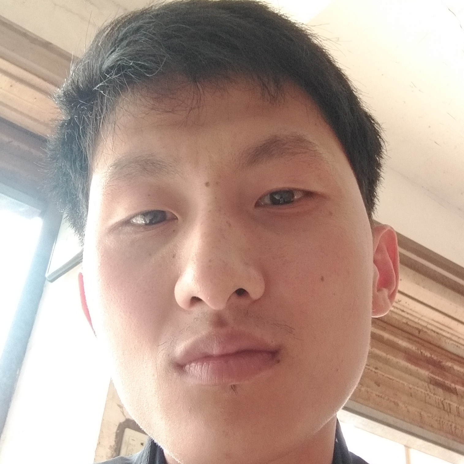 单身的汪汪的照片