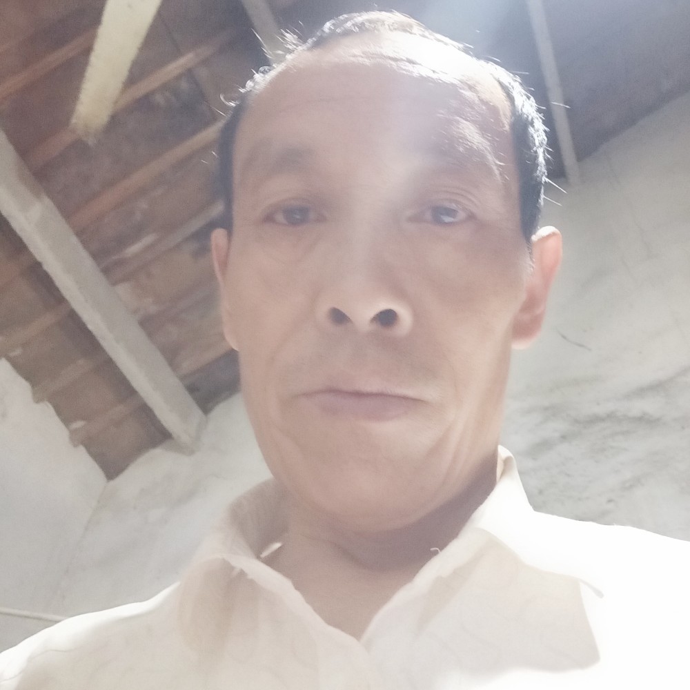 2属的照片