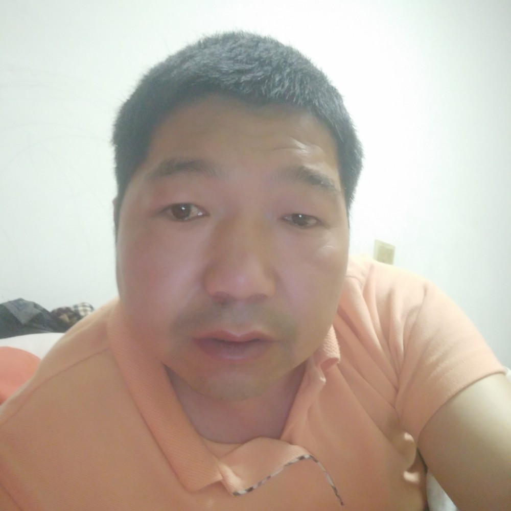 蜻蜓打迷离的照片