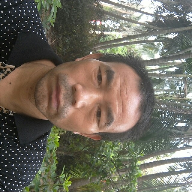 怕孤单冷眸的照片