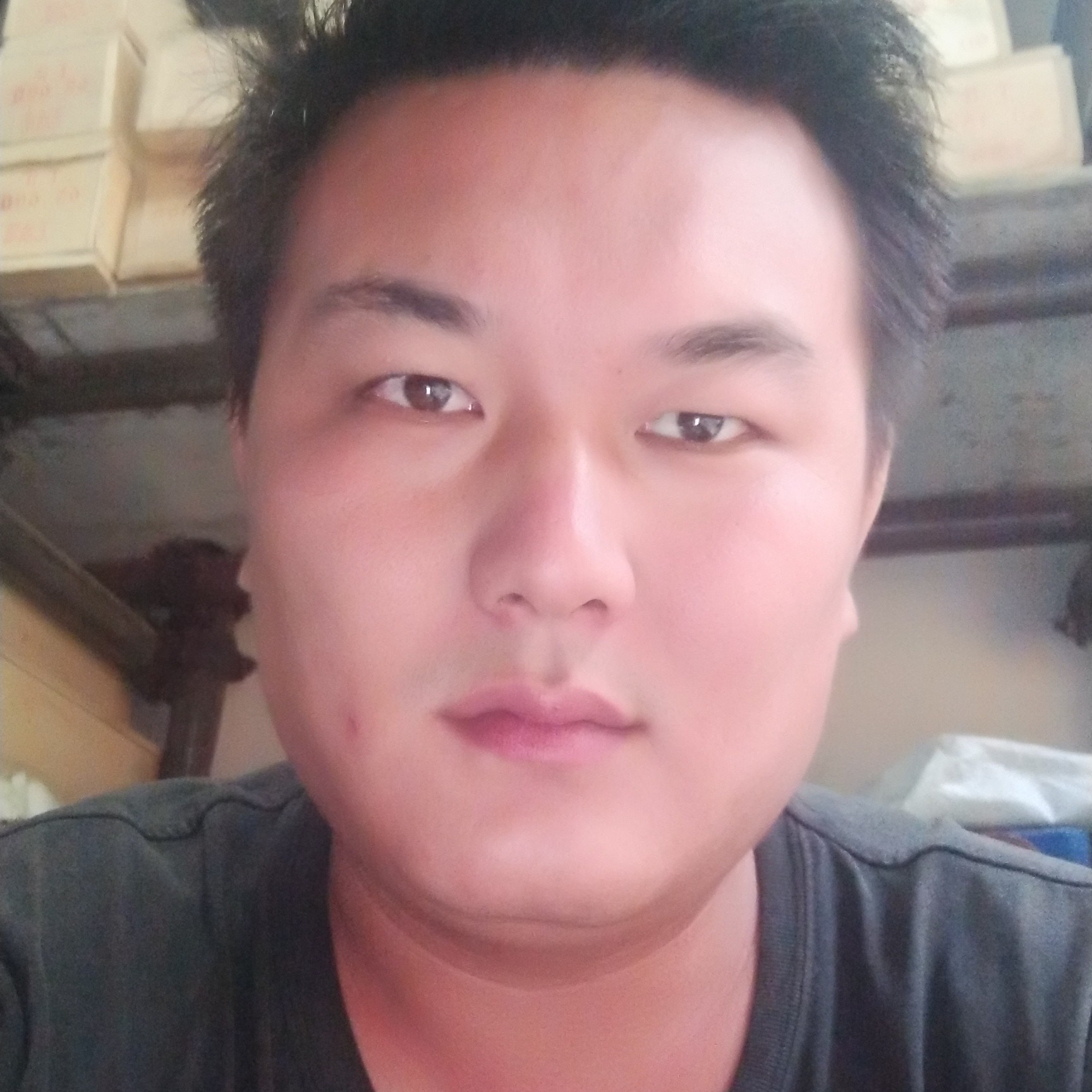 保龙一族的照片