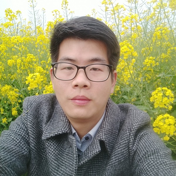 西红柿鸡蛋。的照片