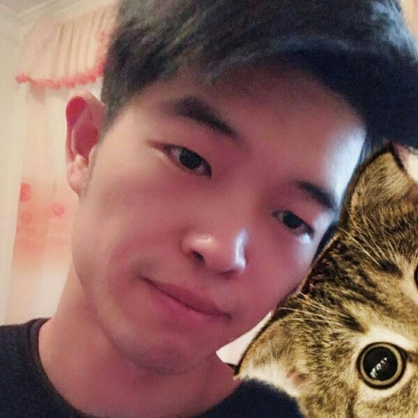 小白菜怕黑的照片