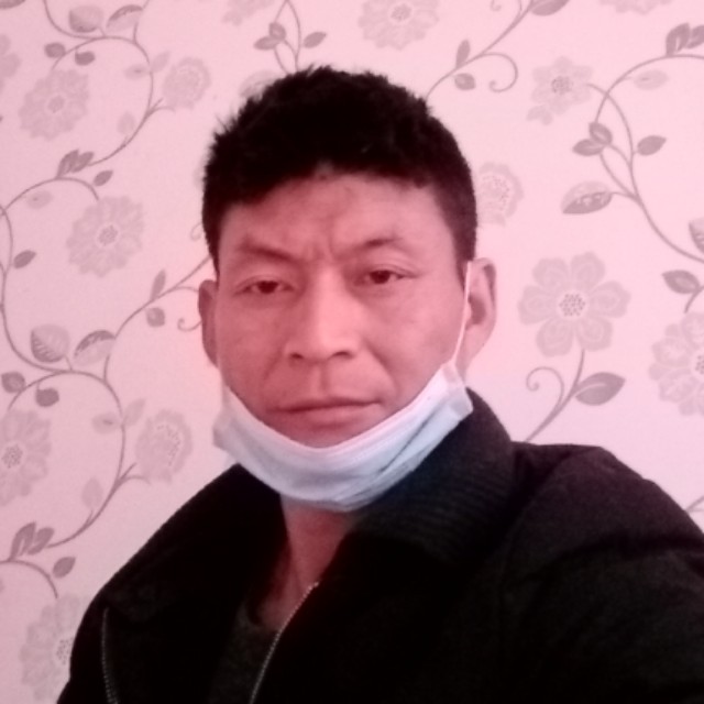 犀牛苦恋魁梧的照片