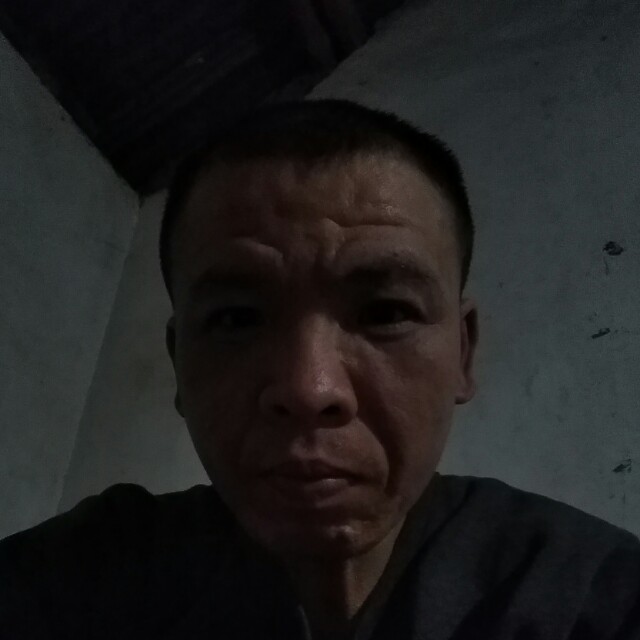 活力红玫瑰的照片