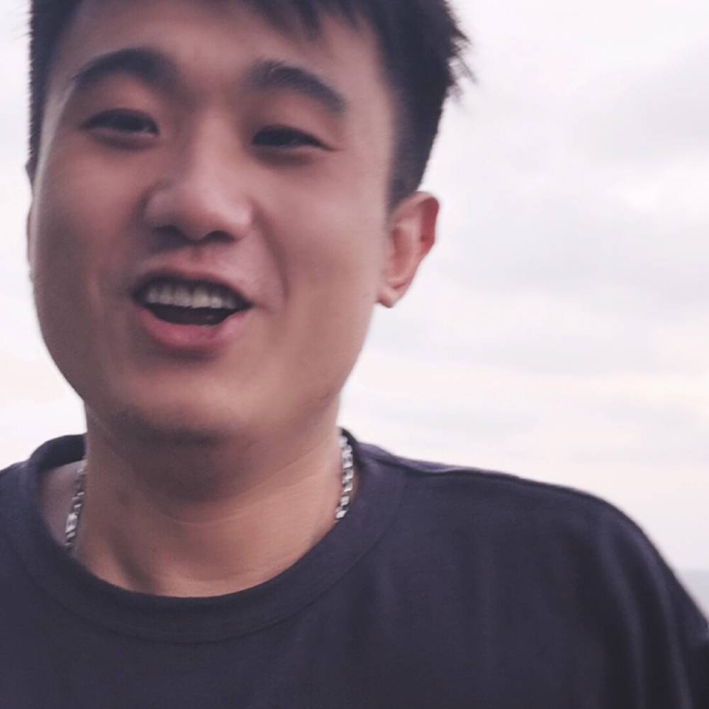 引凤来栖的照片