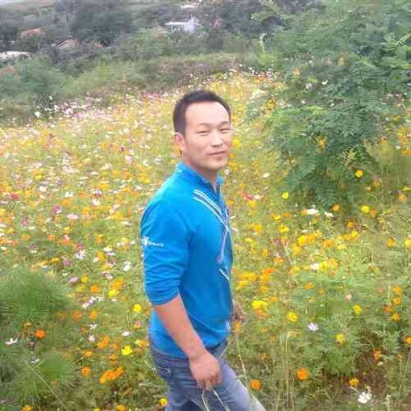 幽默羊羊的照片