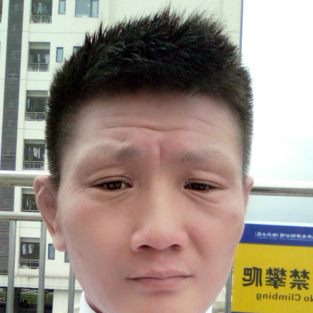 小蜜蜂拾忆温暖的照片
