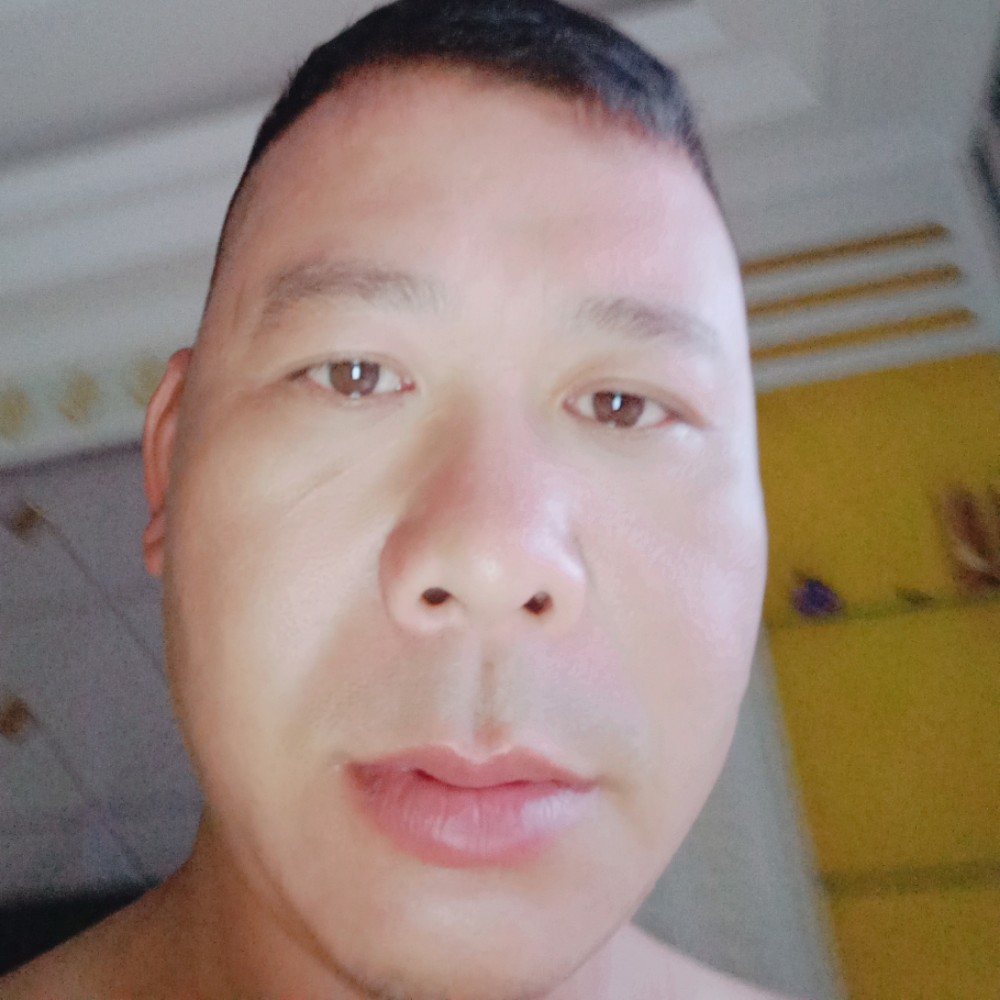黎明阳光的照片