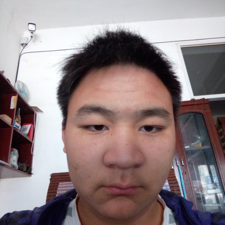 王的后裔的照片