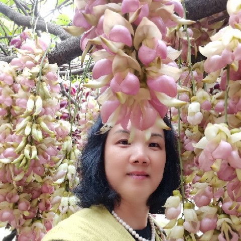 88青苹果66的照片