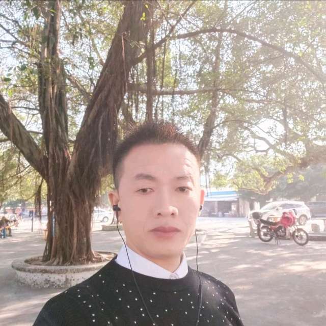 成就等待鸡的照片