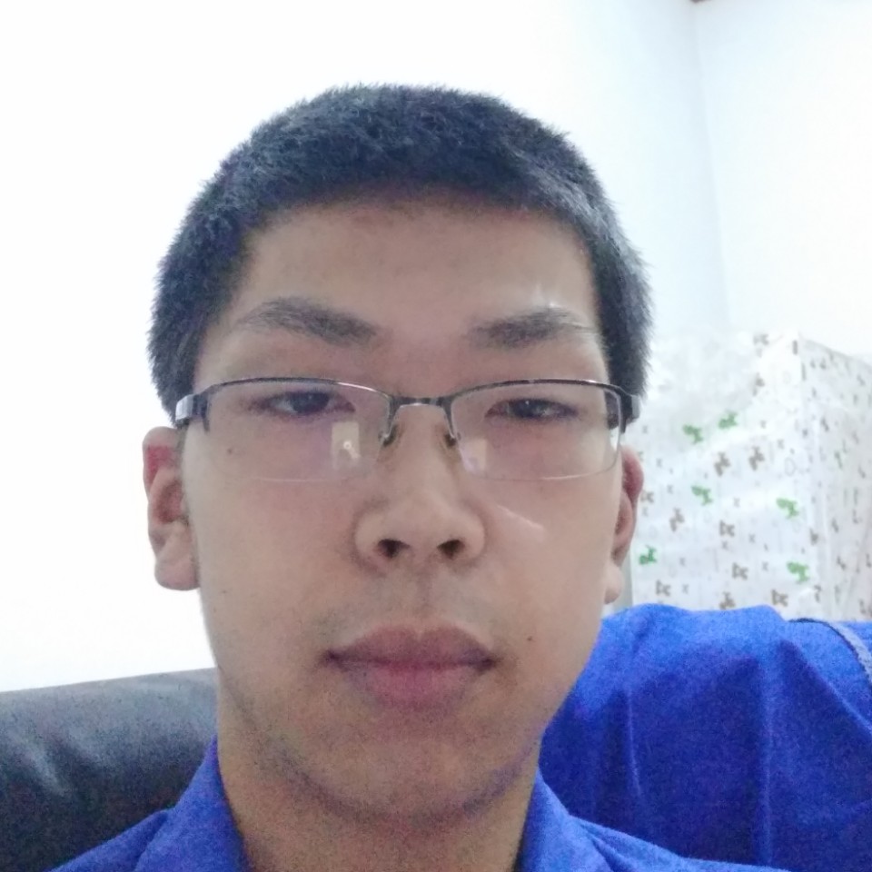 小熊猫停止从容的照片