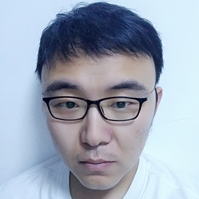 鸵鸟正直的照片