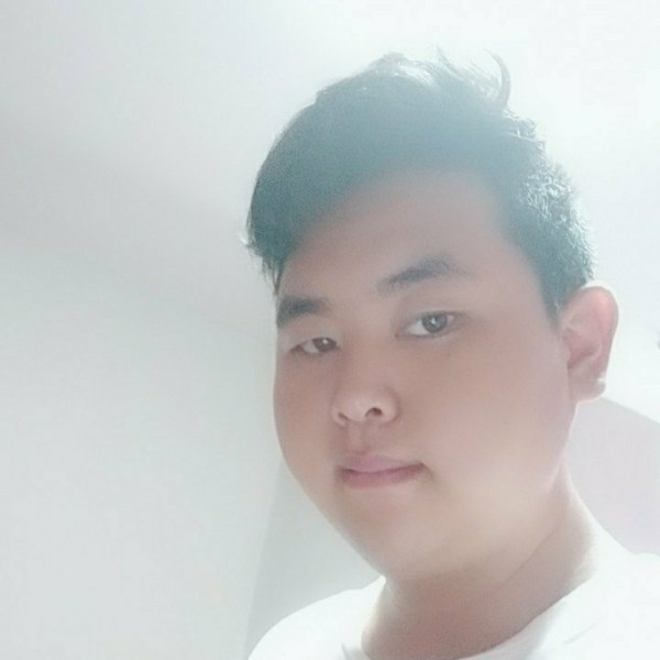无限小海豚的照片
