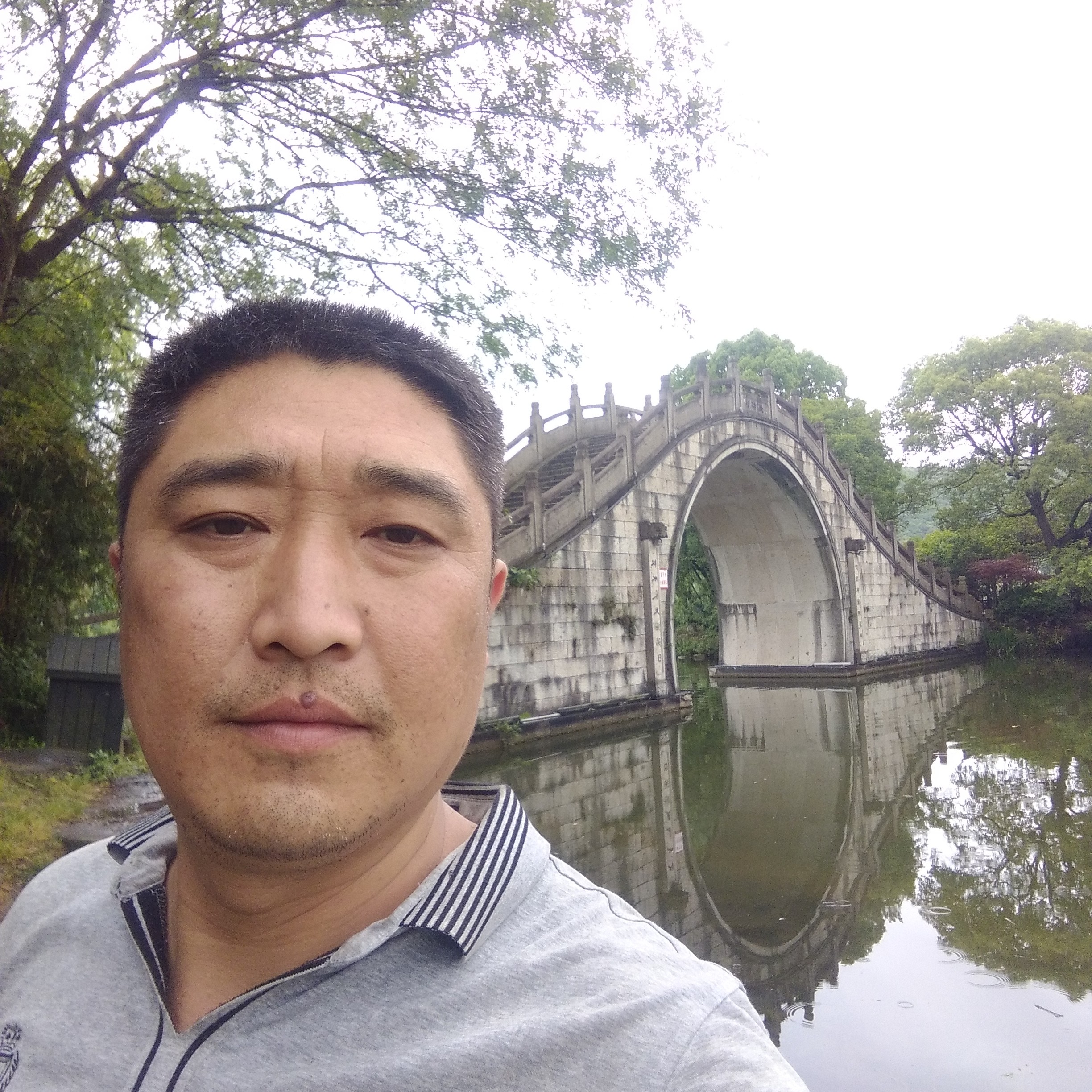 烂漫演变煎饼的照片