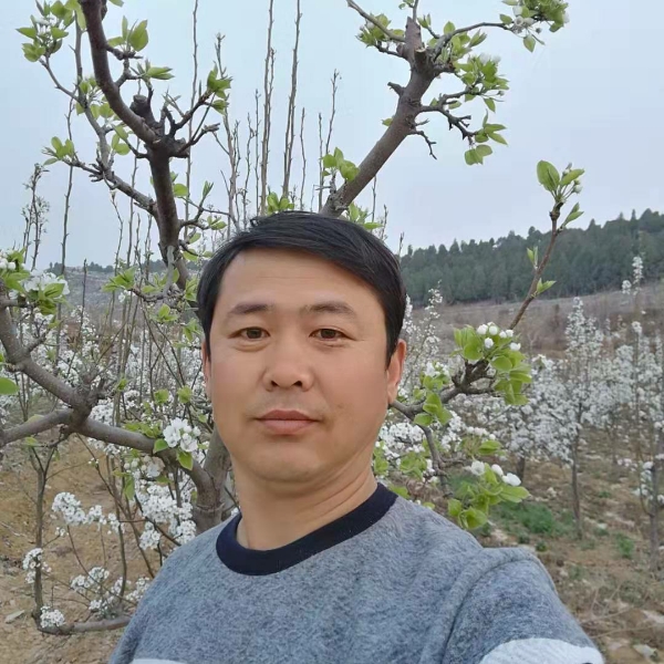 期待美好的新生活的照片