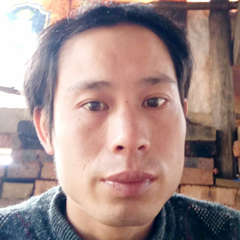 翩飞诺言的照片