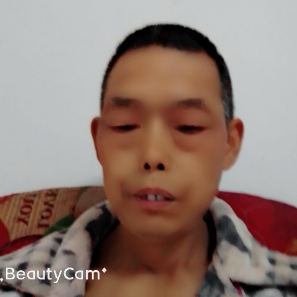 幽默向红玫瑰的照片