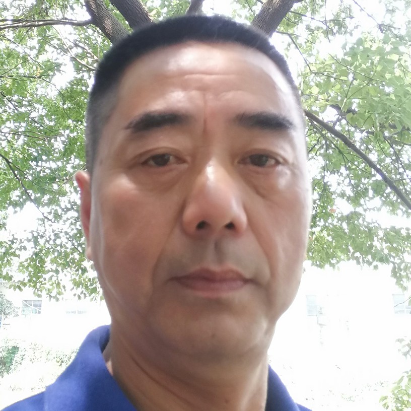 向日葵的兴奋的照片
