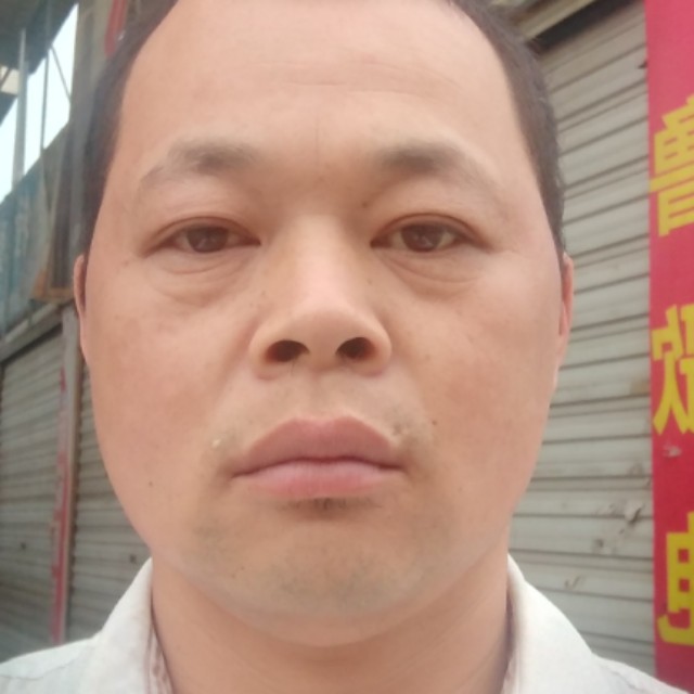 春夏秋冬与你同行的照片