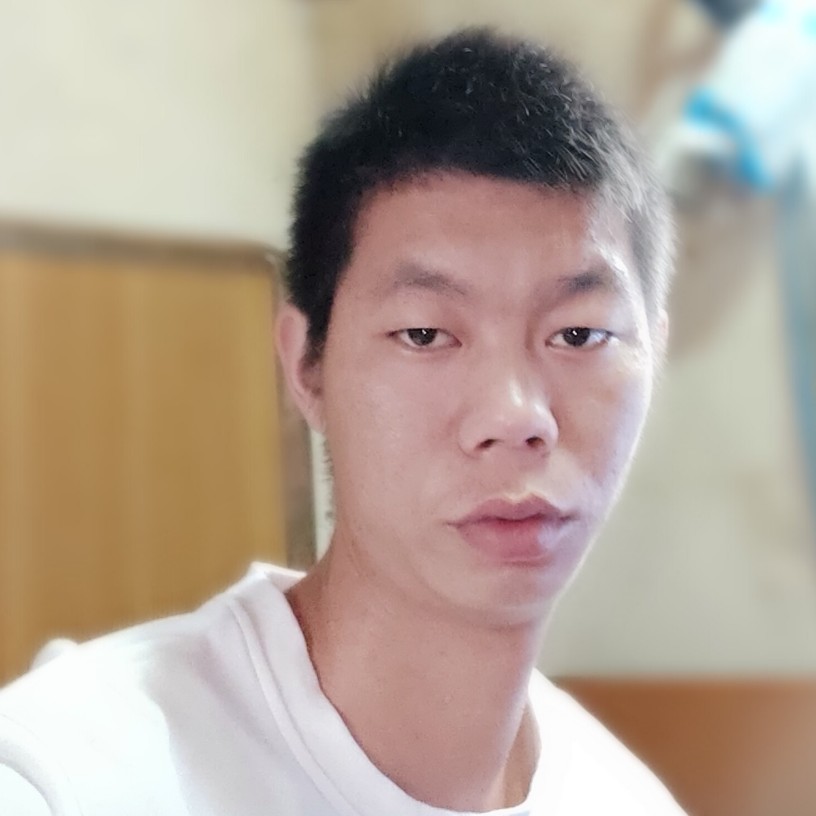 小海豚回眸单身的照片