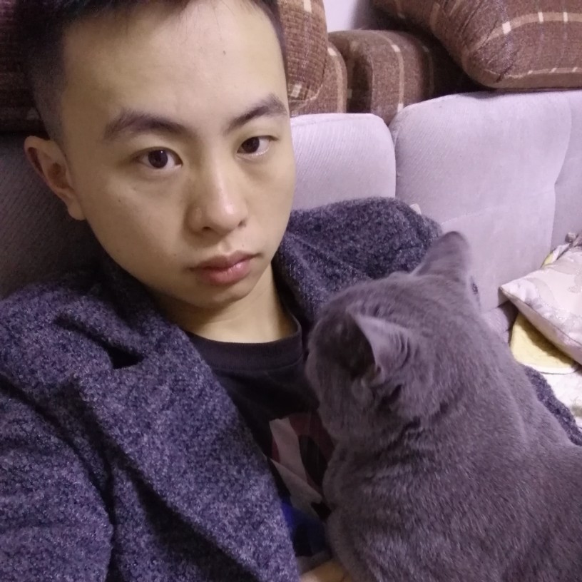 黑夜于白天的照片