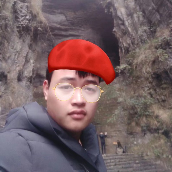 枫叶健康的照片