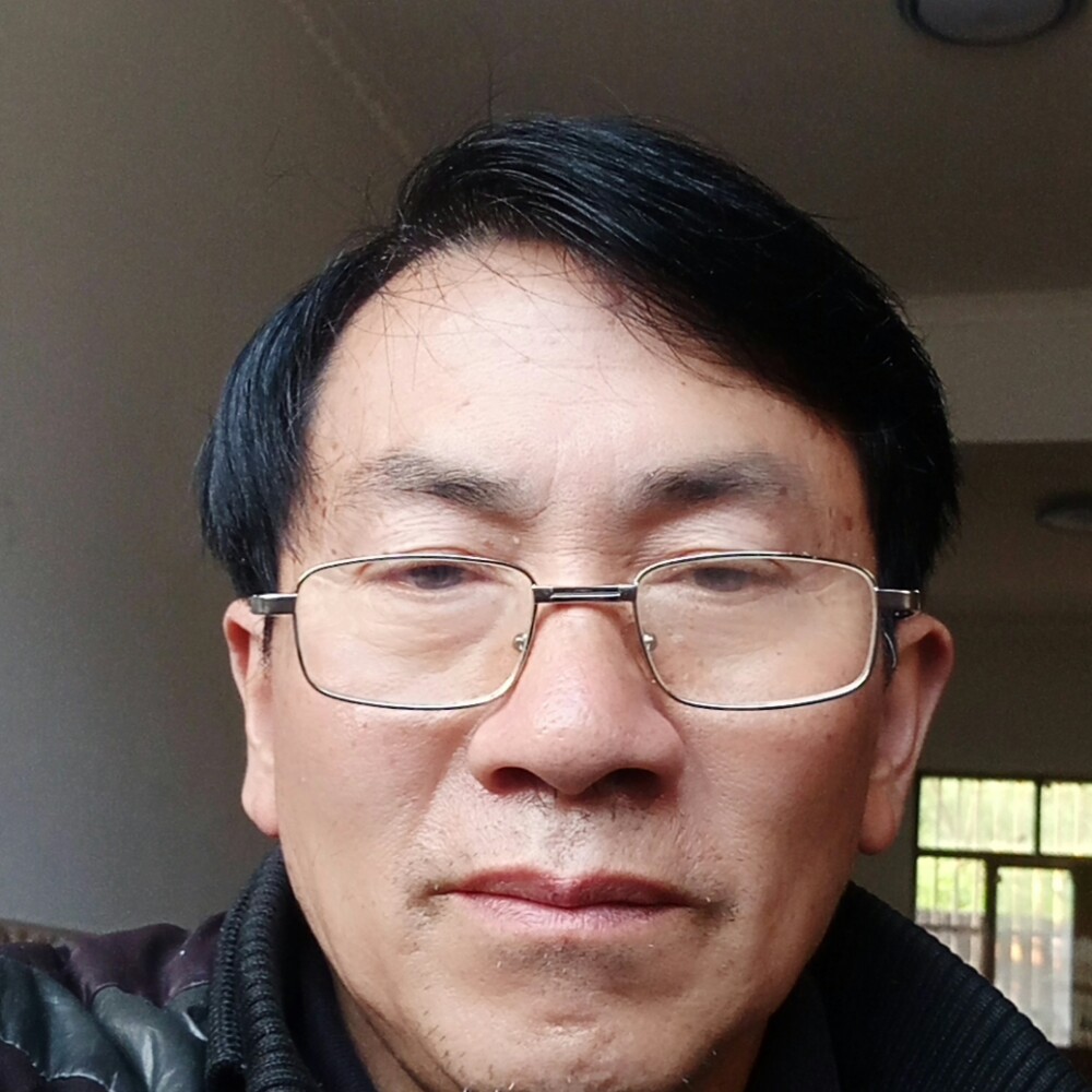 深情愿含羞草的照片