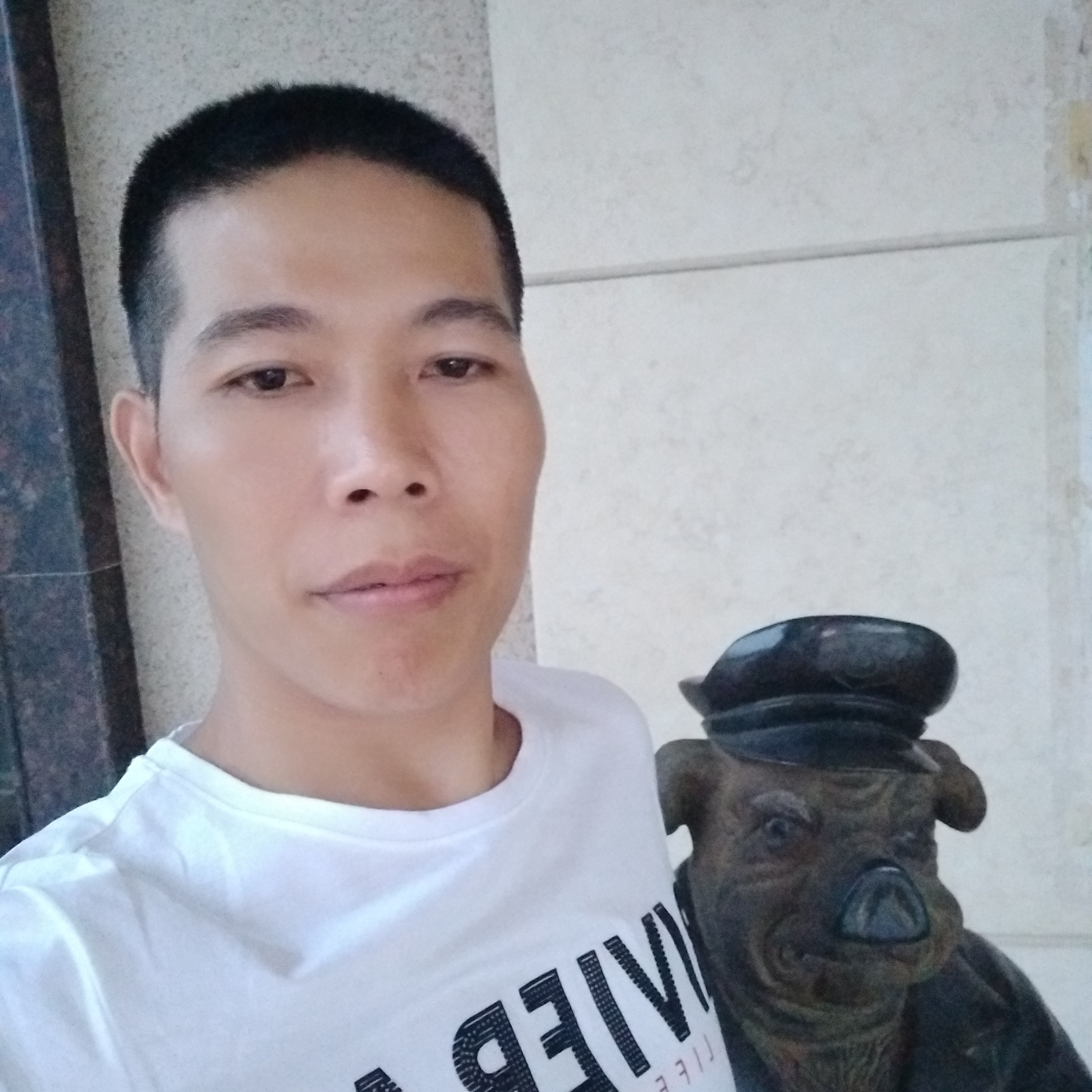 云雾山中。的照片