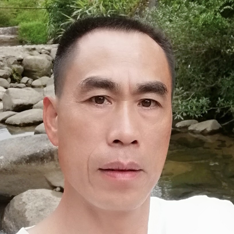 阳光灿烂辉煌岁月的照片