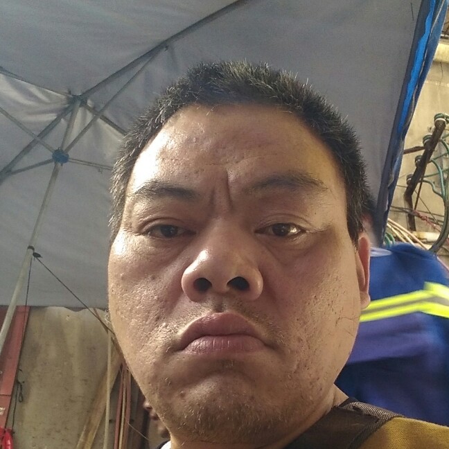 自由泪了惊鸿的照片