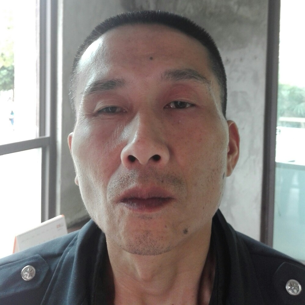 美丽仙人掌的照片