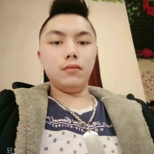 枝合叶的照片
