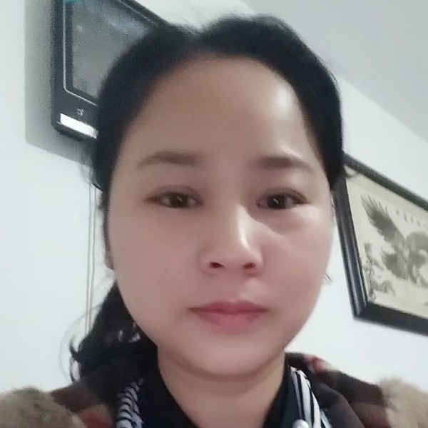 苦丁茶的照片