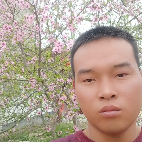 认真和钢笔的照片