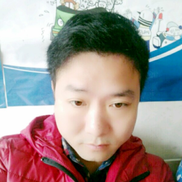 我不是。狼的照片