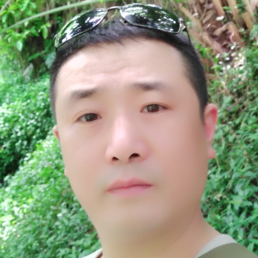 眼神端庄的照片