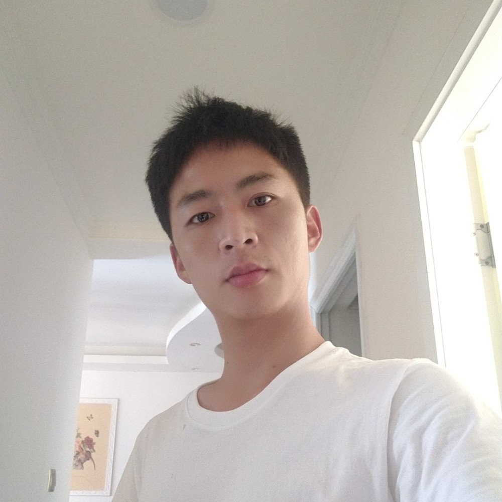 落叶的照片